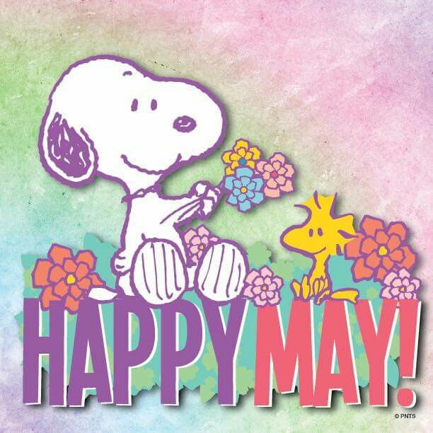 a happy may day greeting 